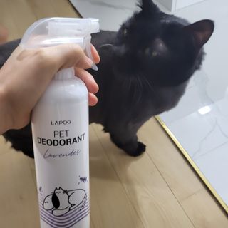 미니유님이 올린 리뷰 사진 1
