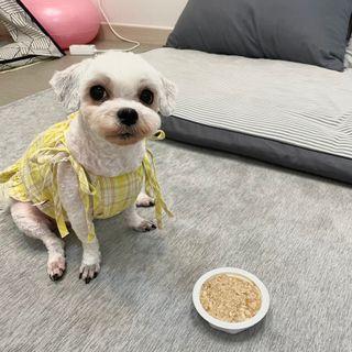 아름콩님이 올린 리뷰 사진 4