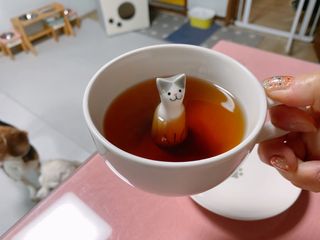 cobemom님이 올린 리뷰 사진 4