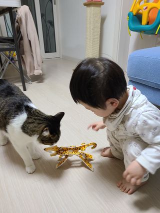 글라라5205님이 올린 리뷰 사진 3