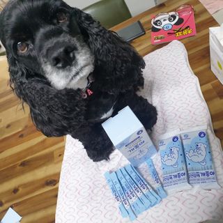 코아다보기님이 올린 리뷰 사진 3