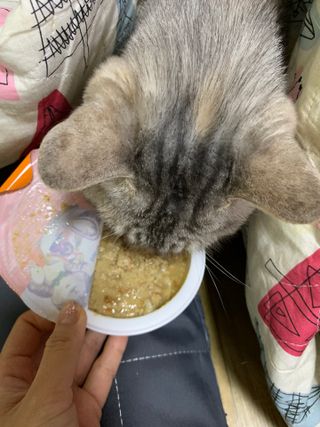 bibi1517님이 올린 리뷰 사진 3