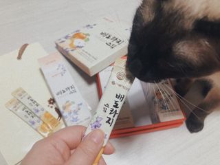 서울약사신협_배도라지스틱_10g x 30포 — 5점을 준 리뷰어가 2021년 3월 올린 사용 사진
