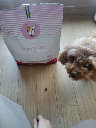 밍카님이 올린 리뷰 사진 3
