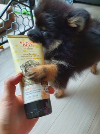 rangri님이 올린 리뷰 사진 1