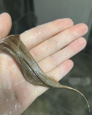 리뷰쟁이님이 올린 리뷰 사진 3