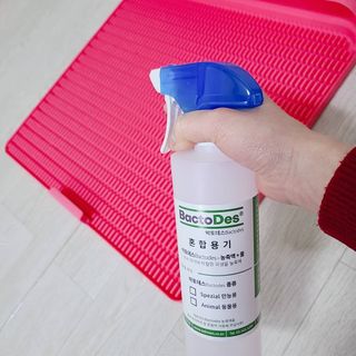 삼숑이맘님이 올린 리뷰 사진 2