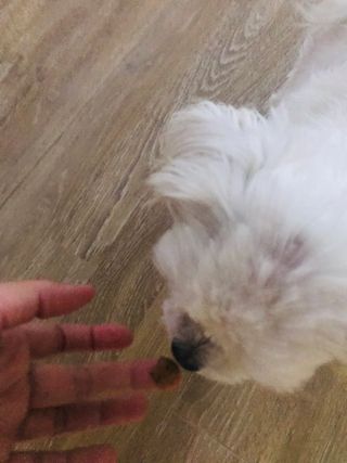 이아님이 올린 리뷰 사진 4