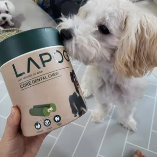 댑빵이님이 올린 리뷰 사진 3
