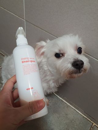 여늬님이 올린 리뷰 사진 2