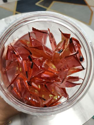 젤리벨리 젤리스틱 어쏘티드 900g — 5점을 준 리뷰어가 2022년 8월 올린 사용 사진