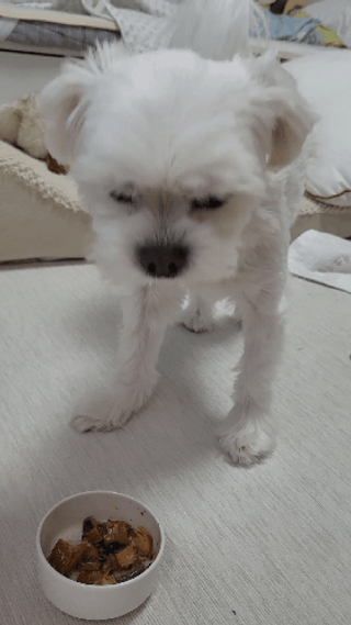 뽀오오옹님이 올린 리뷰 사진 4