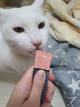 옒이님이 올린 리뷰 사진 1