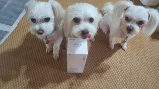 공팔리터님이 올린 리뷰 사진 2