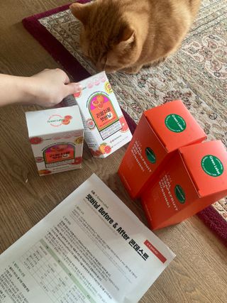 syjuknow님이 올린 리뷰 사진 1