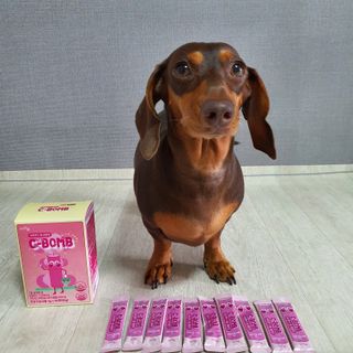 이쁘콩님이 올린 리뷰 사진 1