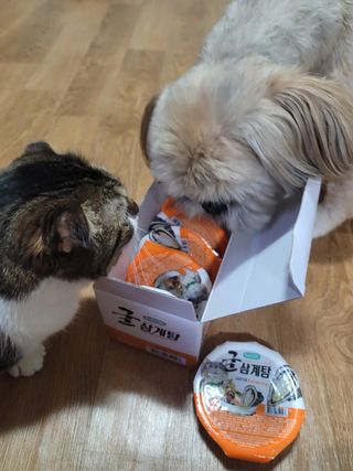 오남매맘님이 올린 리뷰 사진 2