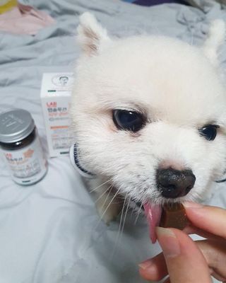 리뷰맨스님이 올린 리뷰 사진 3