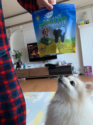 별이빛나길님이 올린 리뷰 사진 1