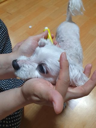 이챠님이 올린 리뷰 사진 3