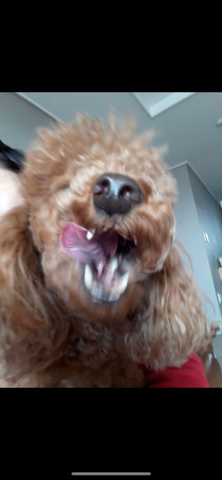 creed님이 올린 리뷰 사진 3