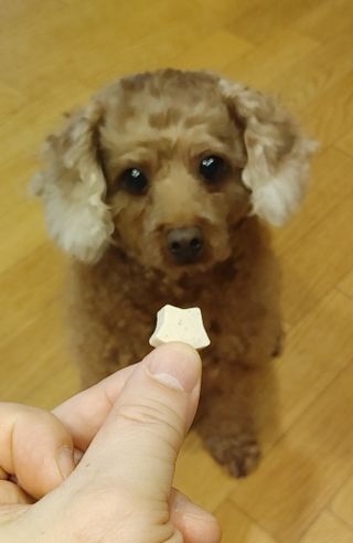무기명님이 올린 리뷰 사진 2