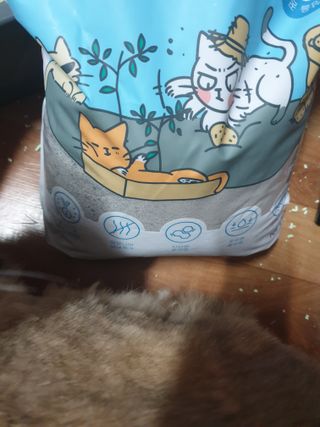 옹알이님이 올린 리뷰 사진 2
