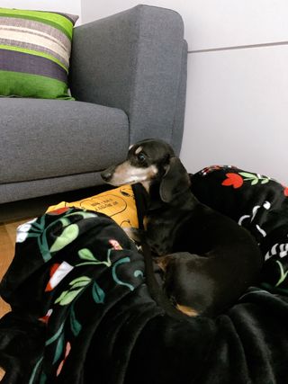 운운님이 올린 리뷰 사진 3