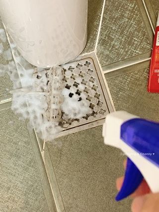 뚱뚱복숭아님이 올린 리뷰 사진 2