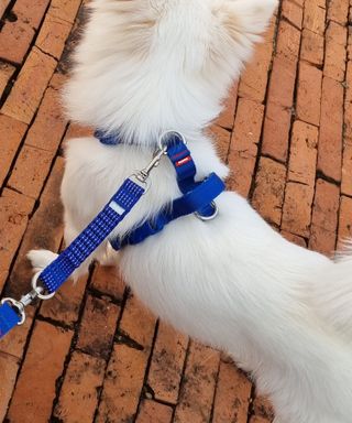 강이님이 올린 리뷰 사진 3