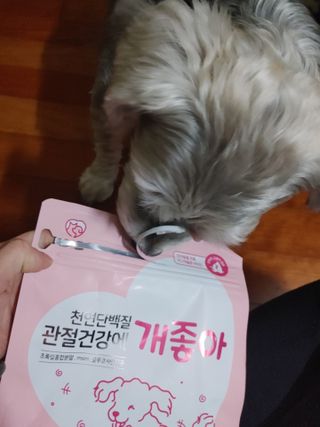 리지용님이 올린 리뷰 사진 2