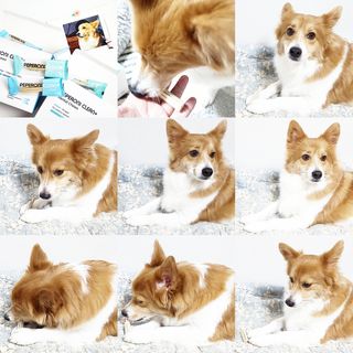 림림님이 올린 리뷰 사진 1