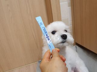 미민님이 올린 리뷰 사진 3