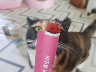 필리브 비주얼 브이스틱 — 5점을 준 리뷰어가 2021년 6월 올린 사용 사진
