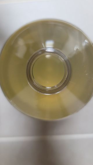 라로지크 X4 스케일링 퍼퓸 샴푸 1,000mℓ — 5점을 준 리뷰어가 2021년 11월 올린 사용 사진