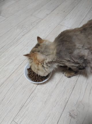 하린님이 올린 리뷰 사진 4