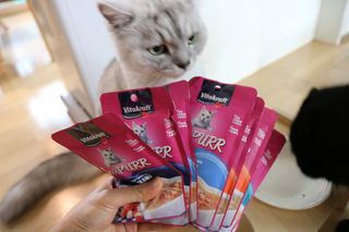 비타크래프트 고양이 수프 50g 3가지맛 x4팩씩 총 12팩 — 5점을 준 리뷰어가 2021년 8월 올린 사용 사진