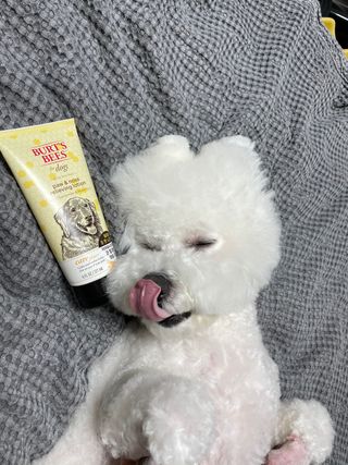 융투님이 올린 리뷰 사진 2
