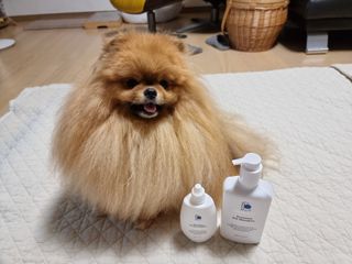 아롱이님이 올린 리뷰 사진 1