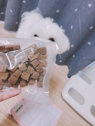 My Pet Care 천연단백질 관절건강에 개좋아 — 5점을 준 리뷰어가 2021년 1월 올린 사용 사진