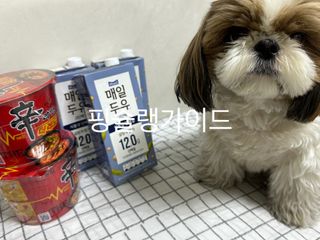 박코끼리님이 올린 리뷰 사진 3