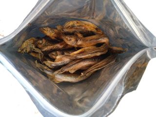 [펫시밀] 원물그대로 영양듬뿍 동결건조 왕북어트릿300g,왕치킨트릿400g,열빙어트릿300g 대용량 간식 — 4점을 준 리뷰어가 2023년 5월 올린 사용 사진