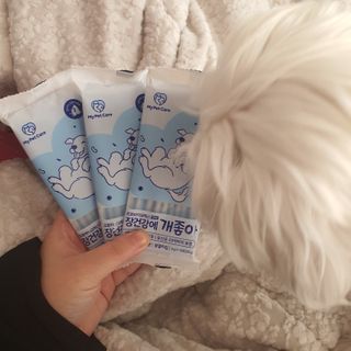 매실님이 올린 리뷰 사진 2