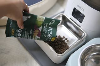 [푸디웜] 라포그  리얼인섹트 웨이트밸런스 저알러지 강아지 사료  1.2KG — 5점을 준 리뷰어가 2022년 7월 올린 사용 사진