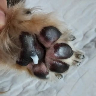 썬님이 올린 리뷰 사진 2