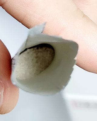 모힐바이오 비오시톨 - 하루 한 포 관리하는 건강한 습관 — 5점을 준 리뷰어가 2022년 2월 올린 사용 사진