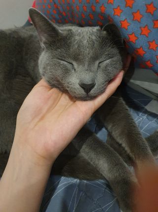 우주맘님이 올린 리뷰 사진 3