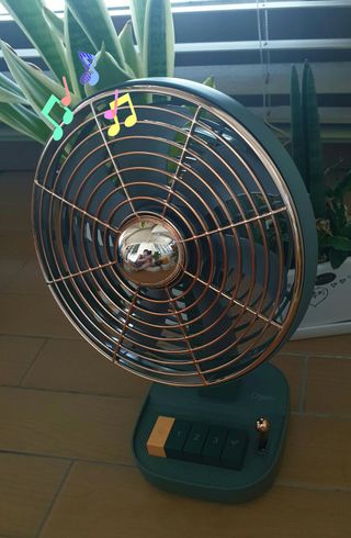 참살이님이 올린 리뷰 사진 1