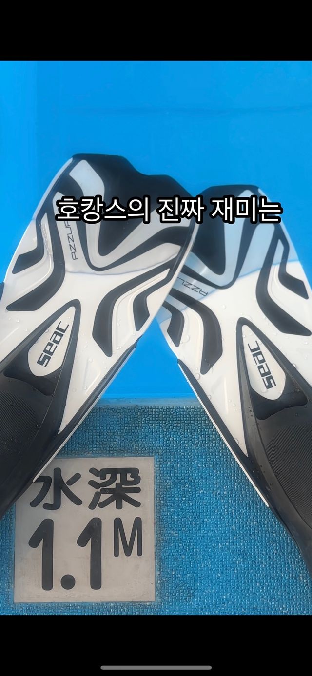 릴스 [쎄악] 아주라 풀풋포켓 오리발 핀수영 스노클링 프리다이빙 리뷰 사진