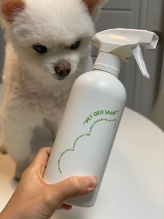 jenny님이 올린 리뷰 사진 2